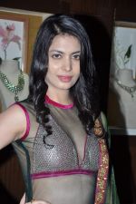 Anikita Shorey launches new collection of Gitanjali in Bandra, Mumbai on 23rd Nov 2012 (11).JPG